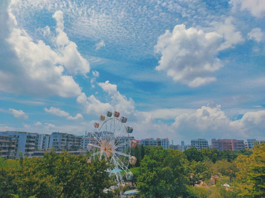 日常生活分享｜夏日炎炎书店记录
